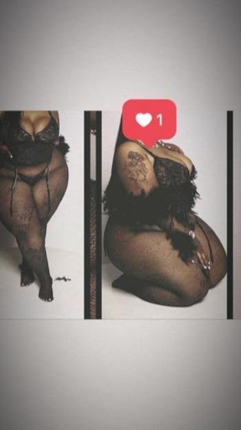 2393294105, female escort, Fort Myers