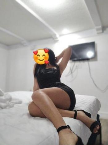 2392446896, female escort, Fort Myers